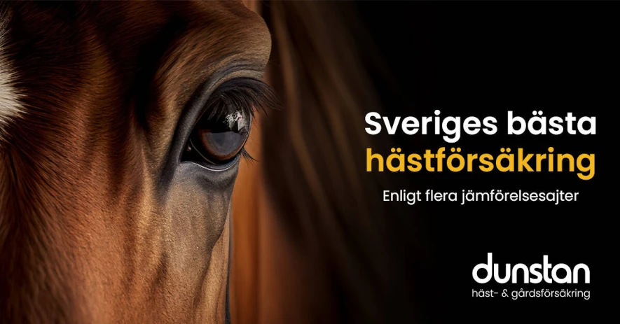 Banner för Dunstan hästförsäkringar