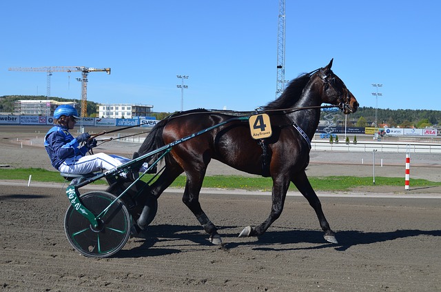 Speedcart används som travvagn för travracing